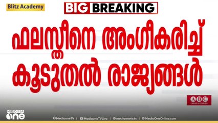 'ഫലസ്തീനെ സ്വതന്ത്ര രാഷ്ട്രമായി പ്രഖ്യാപിക്കും'