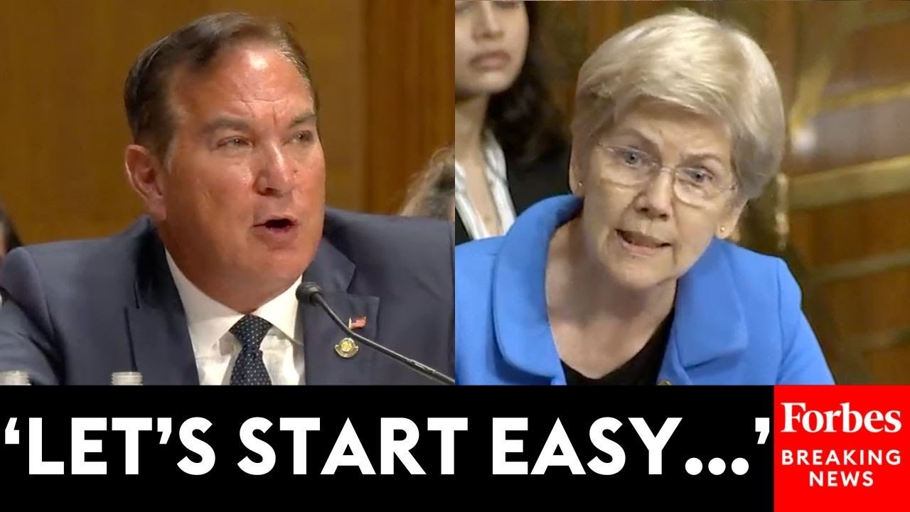 Elizabeth Warren Mercilessly Grills Trump Nominee: 'Did You Have Any Problem Understanding It?'