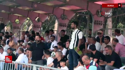 Bursa'da milyonluk taylar, açık artırmayla satıldı