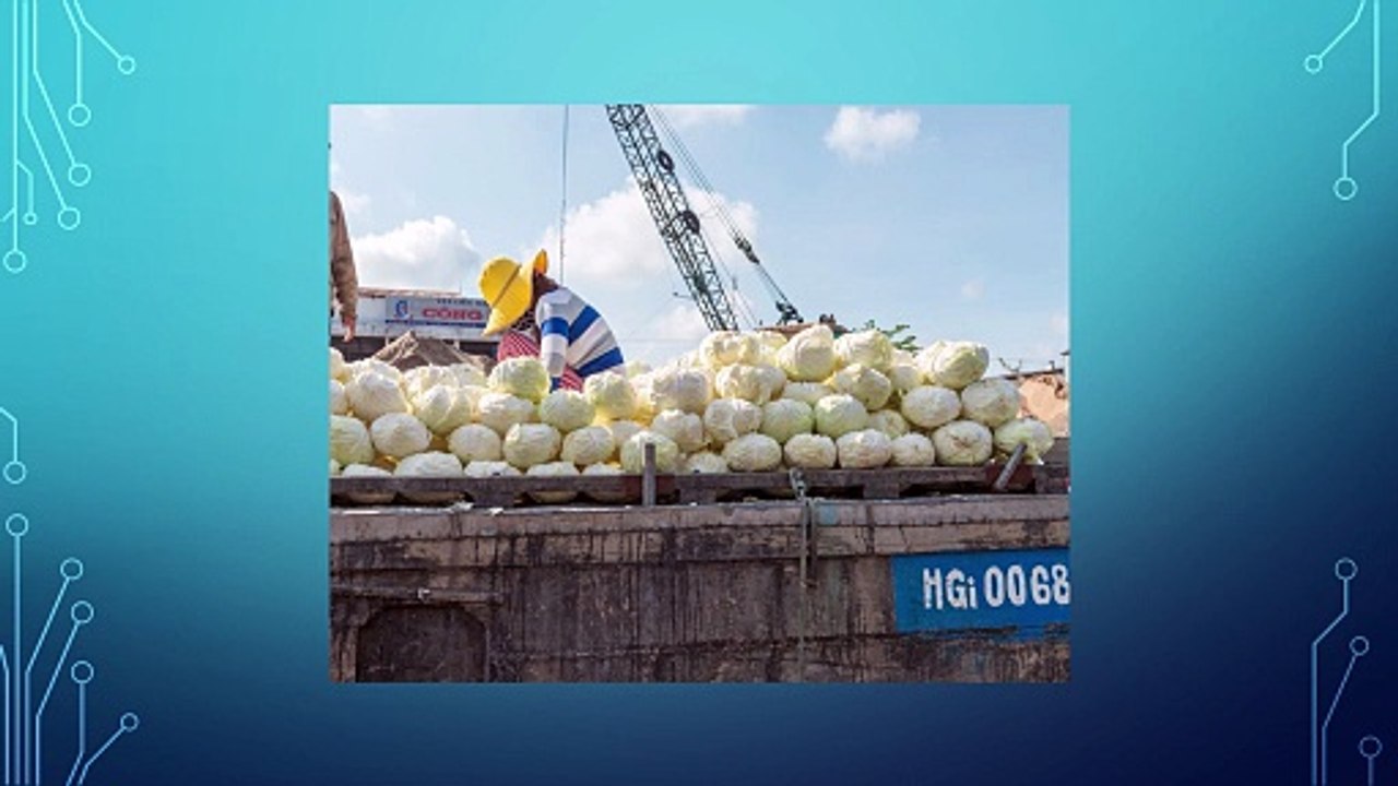 Affordable and Durable Bulk Grain Storage Silos Supplier in India