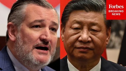 'Keep Their Resources Out Of Beijing's Grip': Cruz Calls For Mineral Deals With African Countries