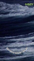 It is not the critic who counts; not the man who points out how the strong man stumbles #echoquotes