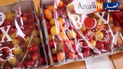 مشريع غير شرعية على الأراضي الصحراوية المحتلة.. الاحتلال المغربي يمعن في نهب الثروات