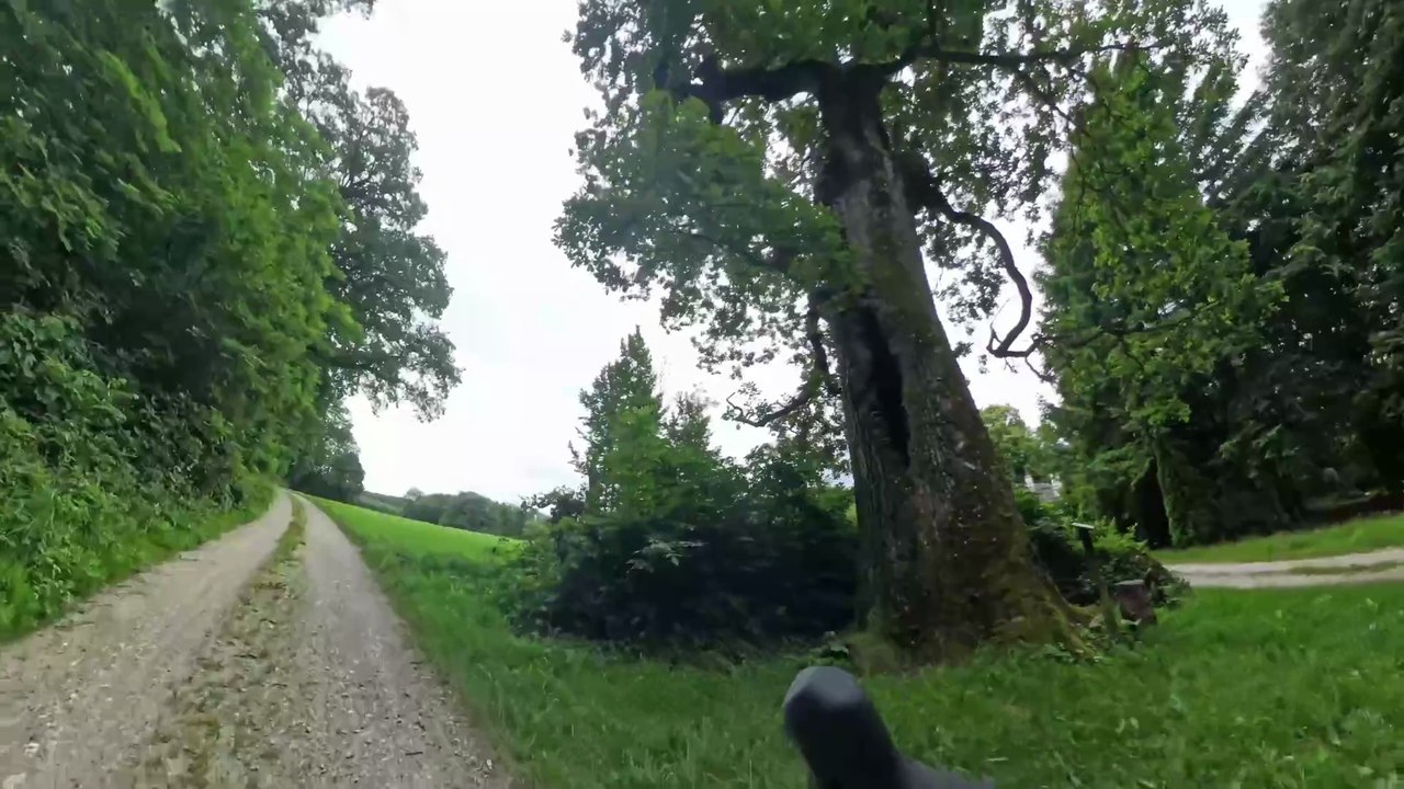 Windischhütte zur 'Mutter des Wienerwalds' (Gravelbike POV)