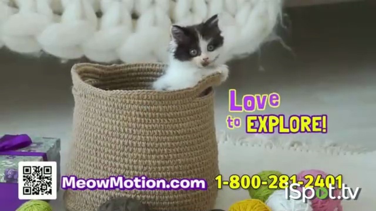 Bet On Your Baby Uruguay Episode Clip from 3.14.2015 It’s Meow Motion Time!
