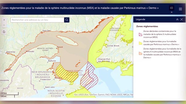 31 JUILLET TOPO LH huitres IDLM