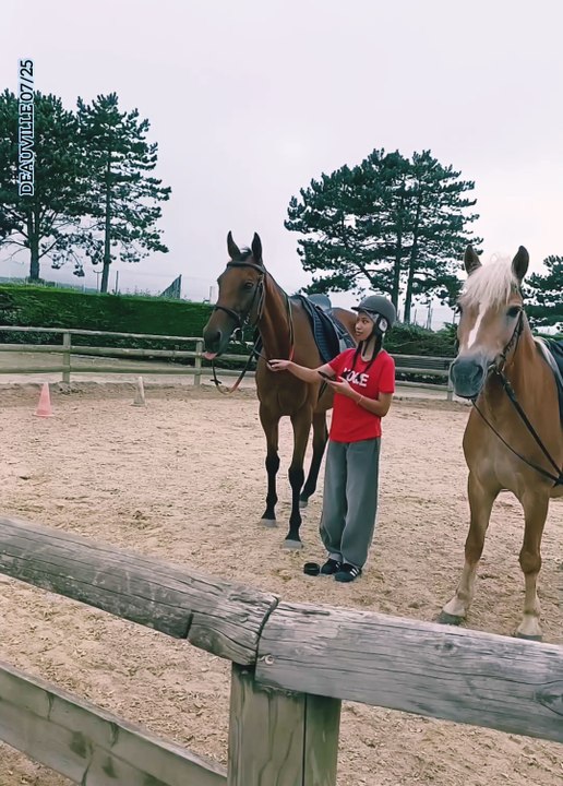 1 heure de balade 🏇🐴🌅