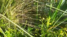 landscape and enjoyment