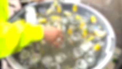 Descubren viviendas desde donde iban a distribuir cerveza adulterada para la Feria de las Flores