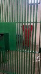 Modulo de Conductas Especiales ( Vacas Locas )