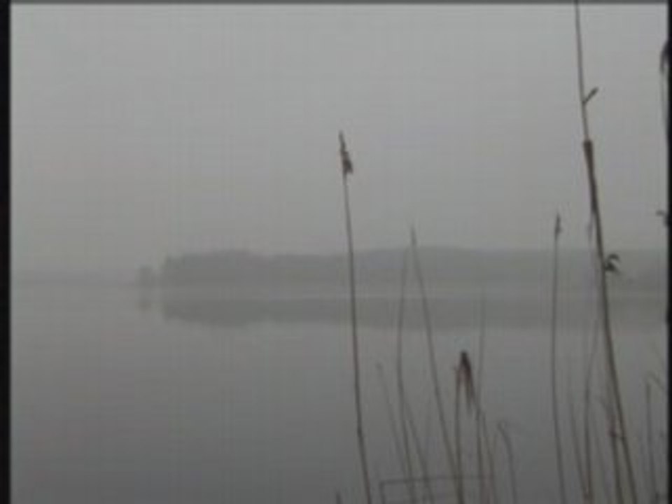 Sikorki