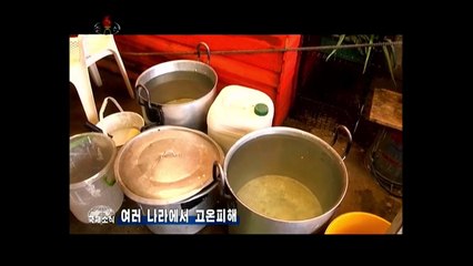 Notícias do exterior na Televisão Central da Coreia (31.07.2025)