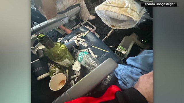 미 델타 여객기 심한 난기류로 25명 부상...비상 착륙 / YTN