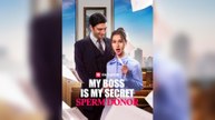 My Boss Is My Secret Sperm Donor