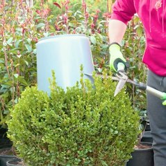 Améliorez votre jardin grâce à ces incontournables ASTUCE FAALIS MAISON