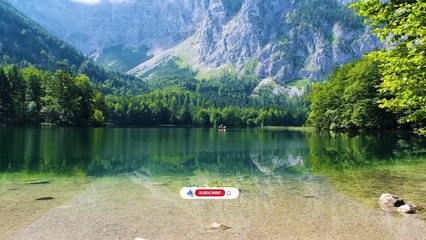 Golden Autumn Leaves – 30 Minutes of Quiet Beauty