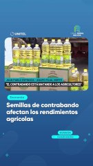 Semillas de contrabando afectan los rendimientos agrícolas