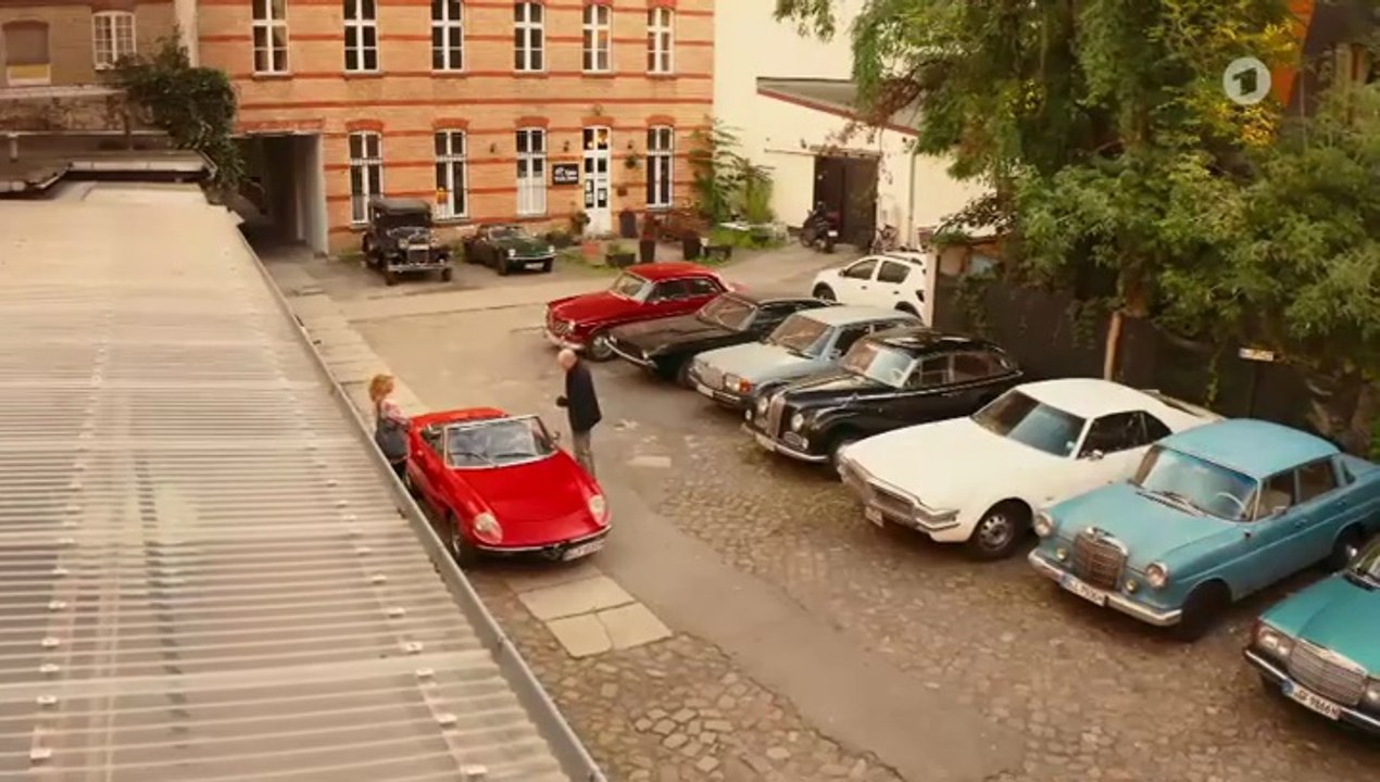 Klima retten für Anfänger