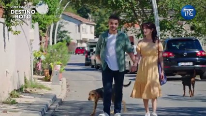 08. Destino Roto (Toprak Ile Fidan), en español