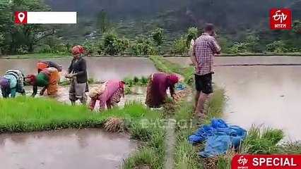 उत्तराखंड में पिंडर को कोसी नदी से जोड़ने की योजना, जल संकट दूर करने का वैज्ञानिक नजरिया