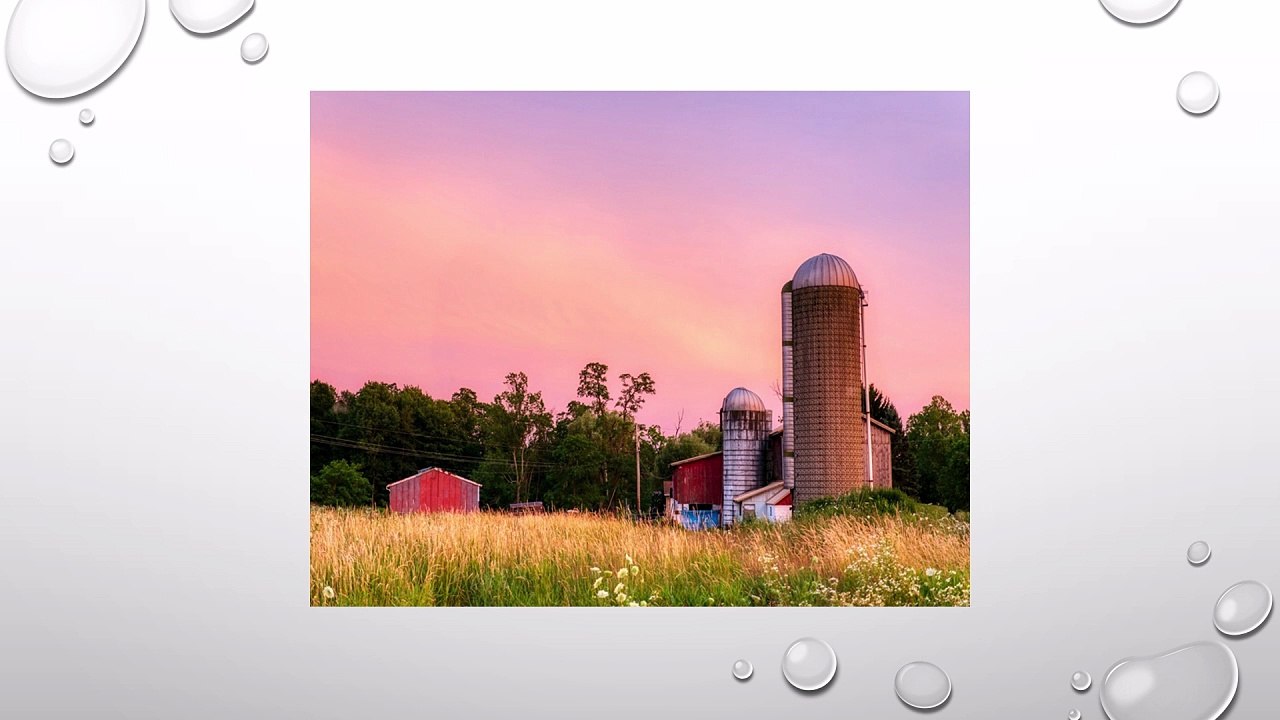 Modern Agriculture Needs Hopper Bottom Silos for Grain Handling in India