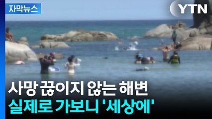 [자막뉴스] "방법이 없어요"...피서객들로 북적이는 해변의 대반전 / YTN