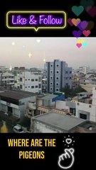Join me for a stunning glimpse of India's heart!  #rooftop #cityview #india #travel #sunset #urban