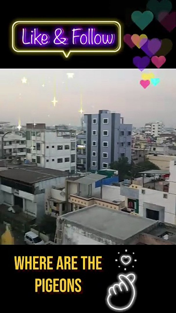 ⁣Join me for a stunning glimpse of India's heart!  #rooftop #cityview #india #travel #sunset #ur