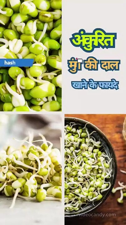 Sprouted Moong Dal Benefits