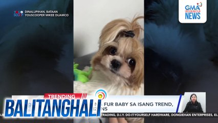 Aliw na pagkasa ng fur baby sa isang trend, pinusuan ng netizens | Balitanghali