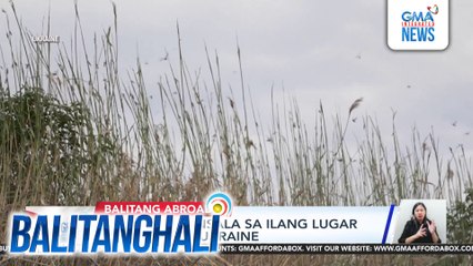 Locust, naminsala sa ilang lugar sa Southern Ukraine | Balitanghali