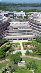 Ms. Doctor And Her Hidden Billionaire Husband Full Movie - Hot Drama (2025)