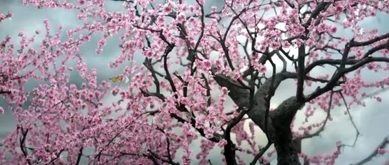 Hoa Sơn Luận Kiếm - Cửu Âm Chân Kinh Tập 7 Thuyết minh