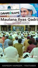 DAWATEISLAM Maulana Ilyas Qadri Ki Mukhalifat Karne Wale Log ???  Maulana Ilyas Qadri Sahab @Followers  #ilyasattari #maafi #ahlesunnatwaljamat #Ulama #Hameemhameem #imamahmadrazakhan #fb #dawateislami #Alahazrat #trending #love #Ilyasqadri #AhlusSunnah