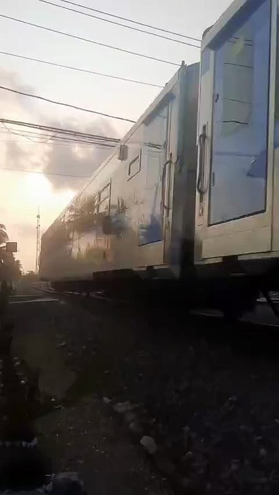 Kereta api Argo Romo anggrek