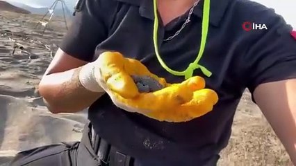 Turizm cennetinde caretta carettalar için hayati nöbet başladı