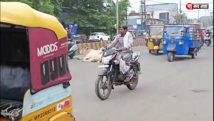 गोवंश को हादसों से बचाने के लिए मोहन यादव सरकार की विशेष पहल