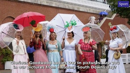 Sussex World Morning Update: Your Top News for August 1, 2025 ☀️