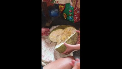 Jackfruit tasty jam bhane jam Maya Nepali Zumba dance durgesh thapa sisan baniya gurash nani ft.Manoj(RASKIN) zin119