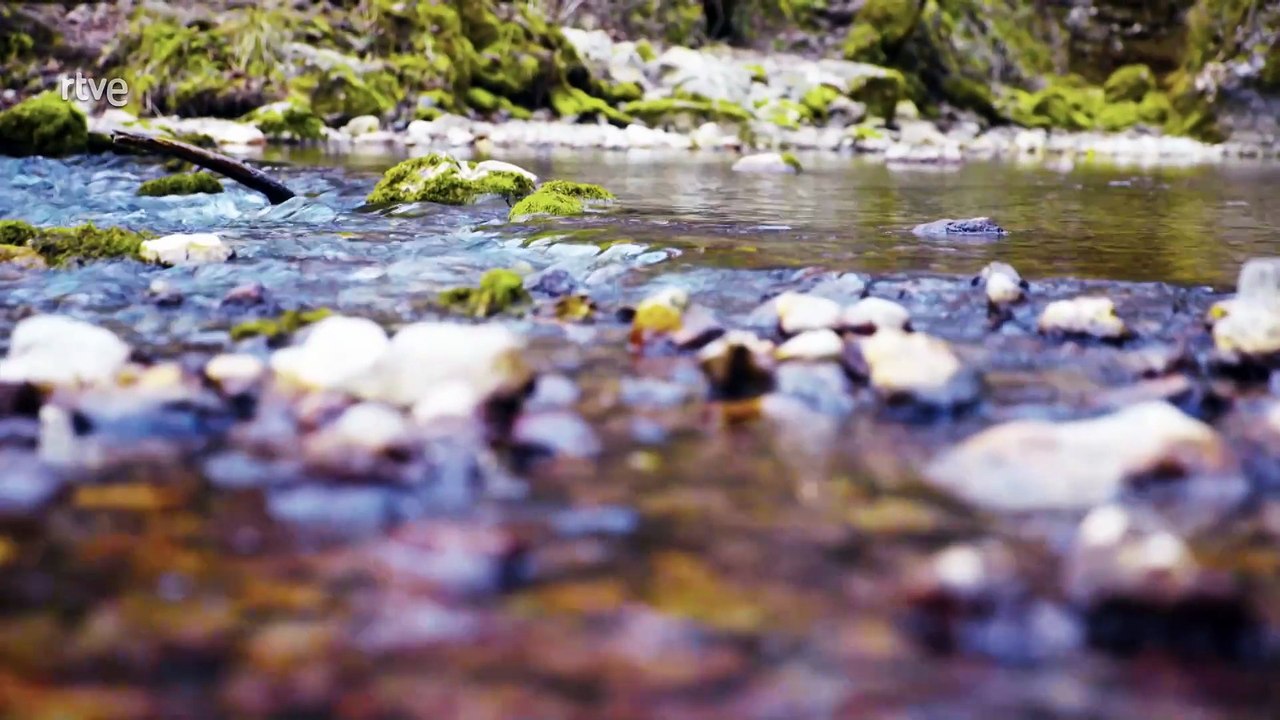 Gigantes y Salvajes Cap 1 - Gigantes y las formas del agua