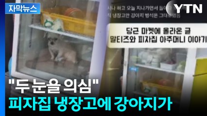 [자막뉴스] 냉장고 속에서 강아지가 '덜덜' ...신고 받고 출동했더니 / YTN