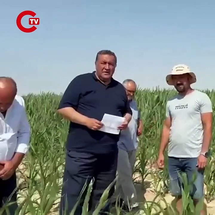 CHP'li Gürer: 'Çiftçi ya ekim zamanı ya da hasat öncesi ithalat sopasıyla karşı karşıya kalıyor'