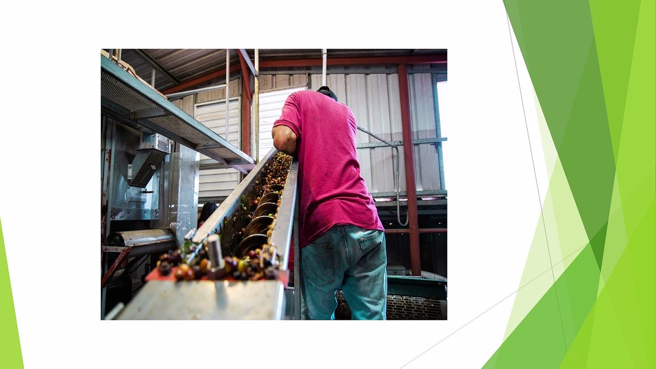 Reliable Industrial Paddy Pre Cleaners in India for Bulk Processing Needs