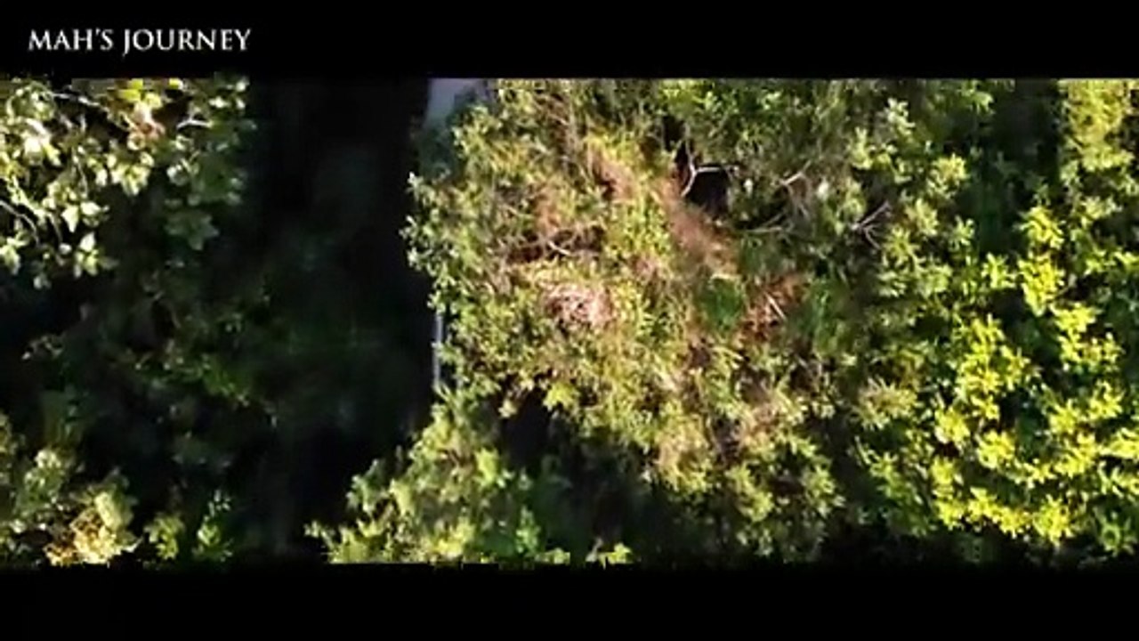 Mah's Journey | Trailer 1
