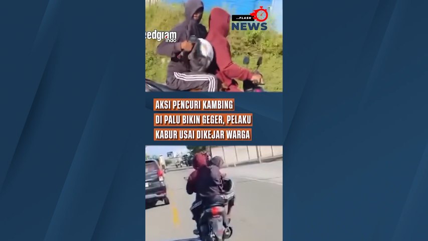 Aksi Pencuri Kambing di Palu Bikin Geger, Pelaku Kabur Usai Dikejar Warga