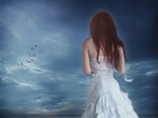 Juste pour te dire que wp3