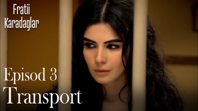 Transport-Fratii Episod 3