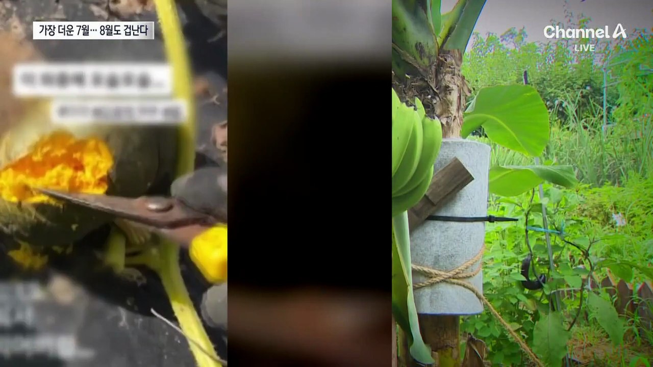 월 평균 기온 28.8도…관측 이래 가장 뜨거웠던 7월