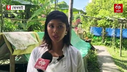চাকৰিৰ আশা এৰি কেঁচুৰ সৈতে বন্ধুত্ব কৰি এতিয়া জীৱনৰ ছন্দ বিচাৰি পাইছে; নাম তাইৰ তৃষ্ণামণি
