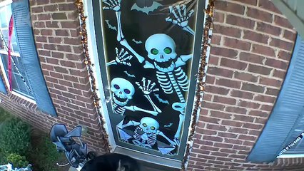 Ultimate Summer Fails Challenge 😎💥 | Non-Stop Laughs!